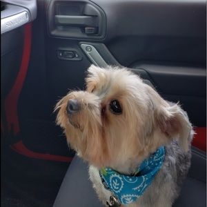 Meet your Posher, Lori